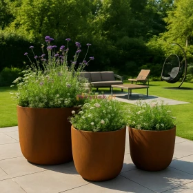 Sklep Corteny.pl oferuje